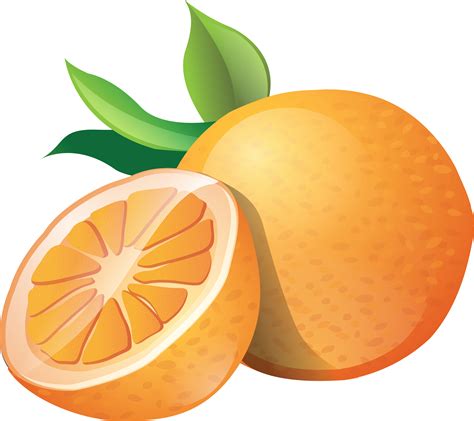 clip art orange|orange clip art free images.